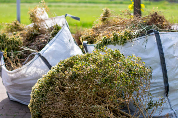  Laguna Vista, TX Junk Removal Services Pros
